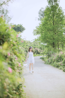 女房客在线